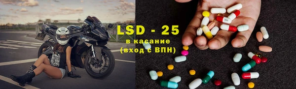 индика Горняк