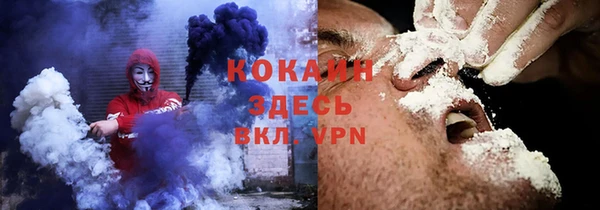 индика Горняк