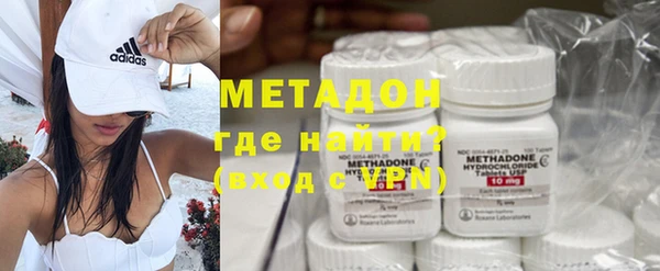 индика Горняк