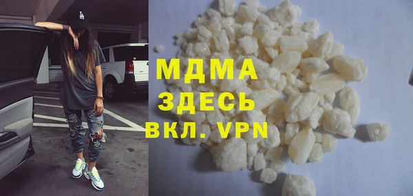 индика Горняк