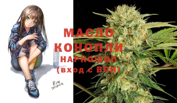 индика Горняк