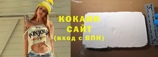индика Горняк