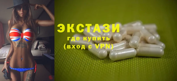 индика Горняк