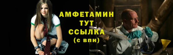 индика Горняк