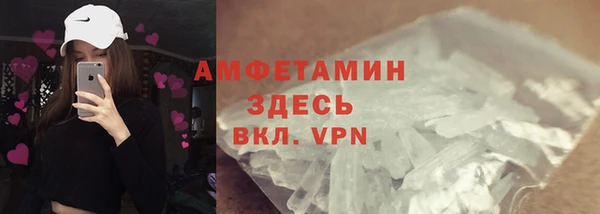 индика Горняк