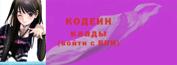 индика Горняк