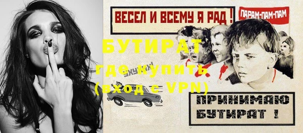 индика Горняк