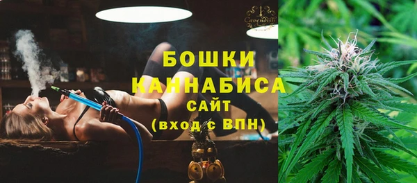 индика Горняк
