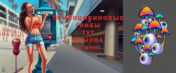 гидра Горнозаводск
