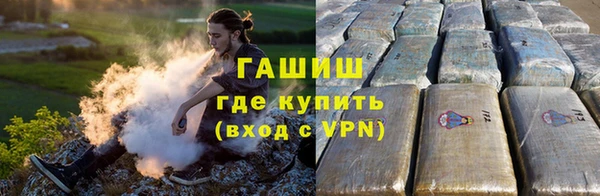 гидра Горнозаводск