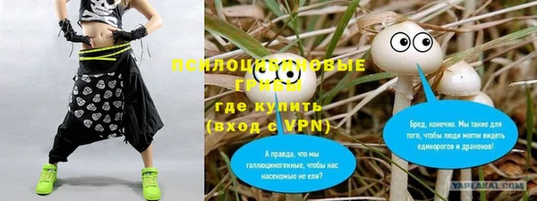 первитин Няндома