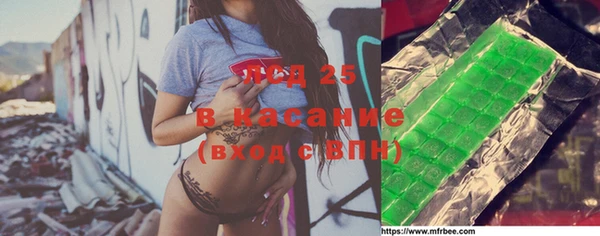 гидра Горнозаводск