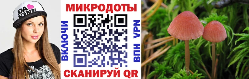 наркотики  Джанкой  Псилоцибиновые грибы мицелий 