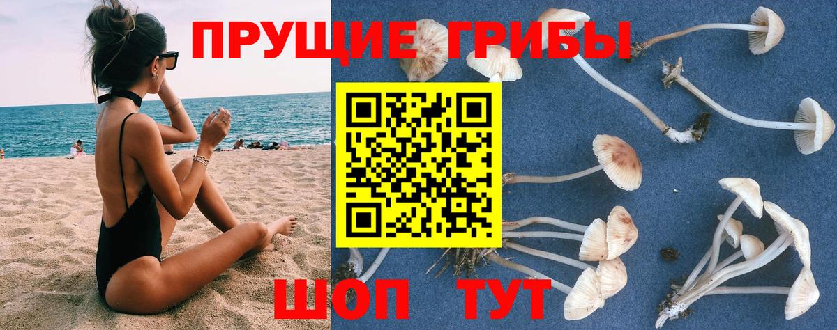 Джанкой  Галлюциногенные грибы прущие грибы  Вход с VPN 