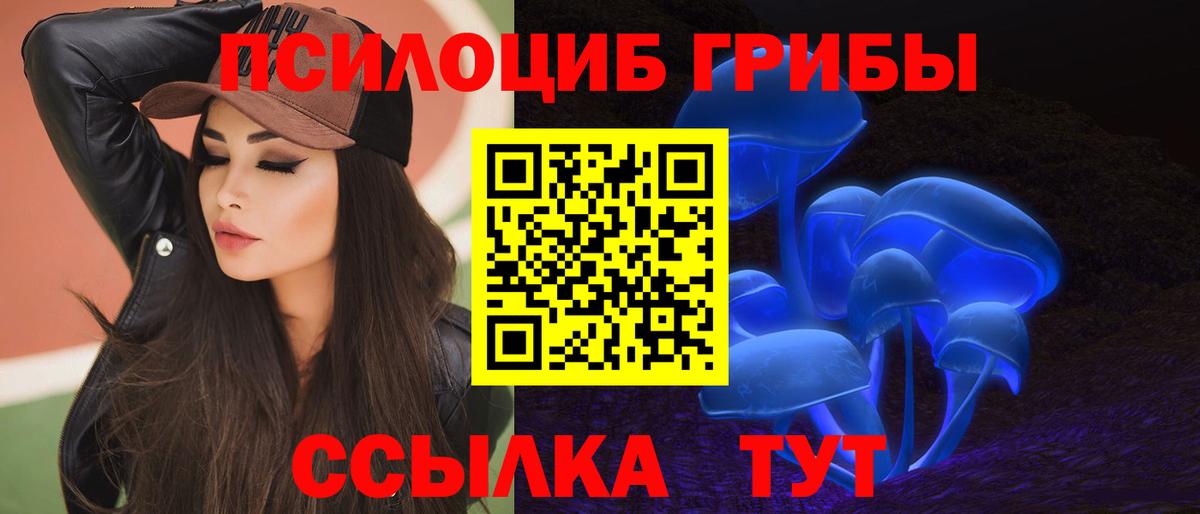 Псилоцибиновые грибы Cubensis Джанкой